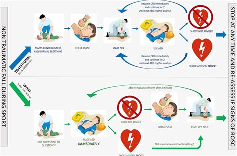 Shocking Insights On Resuscitation After Sports Related Cardiac Arrest