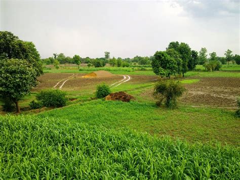 People of Punjab: Lively And Fun Loving! | Haveli Heritage - Punjabi ...