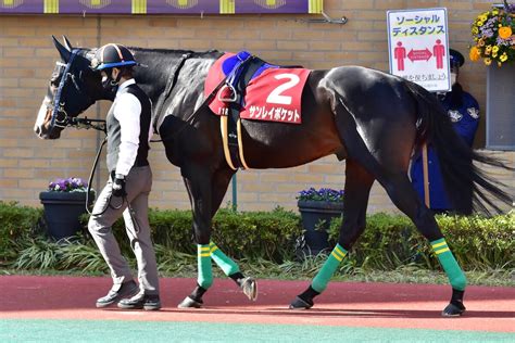 Jraジャパンc（g1）「大穴」は忘れた頃にやってくる 「単勝万馬券」級の衝撃再び、テイエムオペラオーを撃破した東京巧者の血 Gj