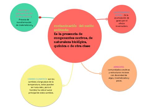 Contaminaci N Y El Medio Ambiente Mind Map Sexiz Pix