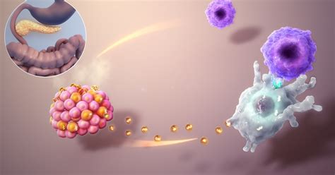 Enfermedades Del Sistema Endocrino Caracter Sticas Y Tipos Principales