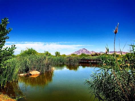 Top 4 Things To Do At Wetlands Park Las Vegas