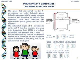 Sex Linked Inheritance PPT
