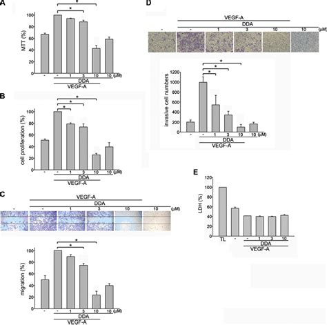 Dda Inhibited Vegf A Induced Proliferation Migration And Invasion Of