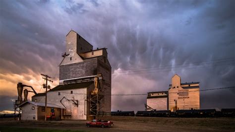 'I just love those old buildings': Photographer creates map of 275 Sask. grain elevators | CBC News