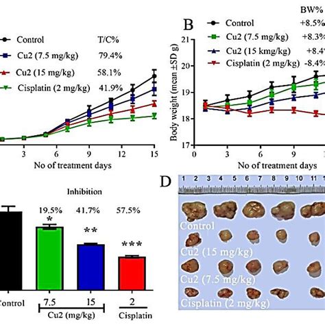 In Vivo Antitumor Effect Of Ni II Complex 1 In Nude Mice T 24