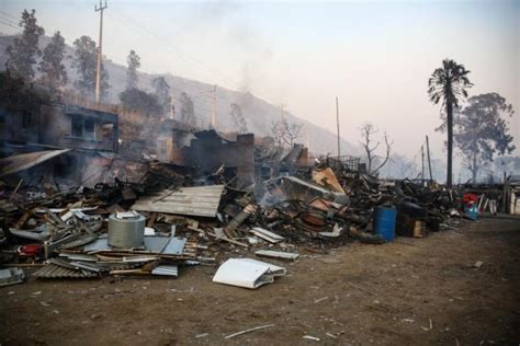 Incendios forestales Las desgarradoras imágenes de El Olivar de Viña