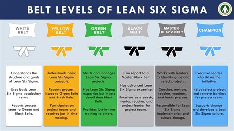 What Are The Belt Levels Of Six Sigma At Jennifer Cobbs Blog