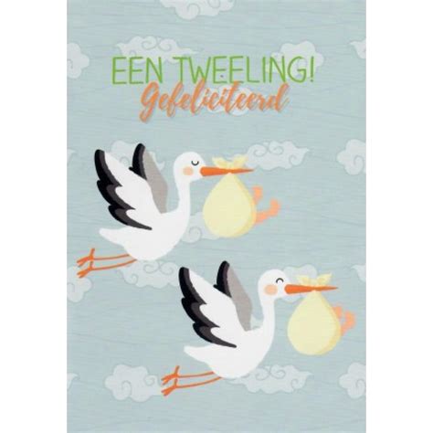 Een Tweeling Gefeliciteerd Wenskaarten Groothandel Poskaart