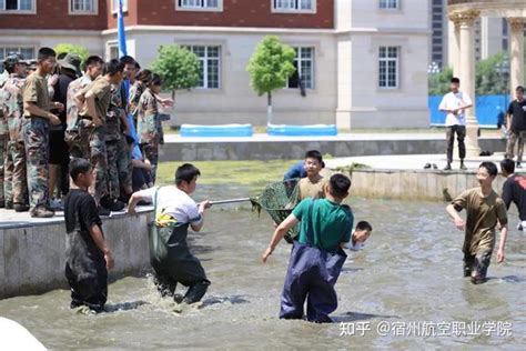 宿州航空职业学院鱼乐无穷，端午放粽！池塘捕鱼、包粽子、赛旱地龙舟这个端午超欢乐 知乎