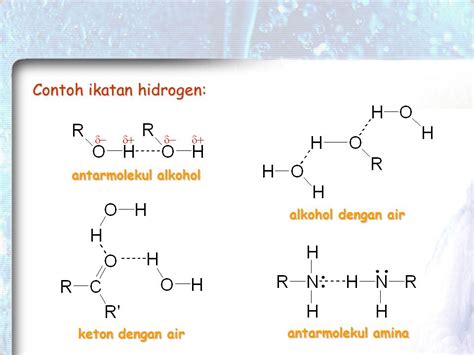 Contoh Ikatan Hidrogen 52 Koleksi Gambar