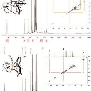 ¹H NMR and COSY spectra of 1 IV NTs top in acetone d6 at 0 C and