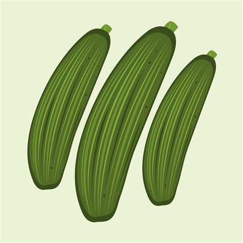 Zucchini Vector Illustration For Graphic Design And Decorative Element