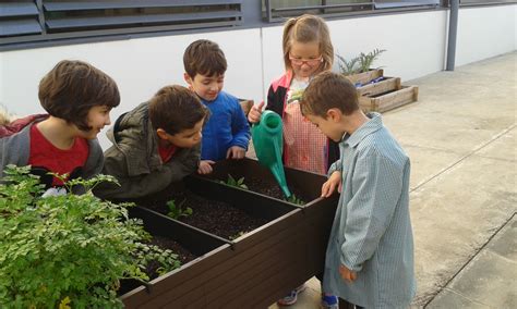 Cicle Inicial Treballem A Lhort Escola Els Ametllers