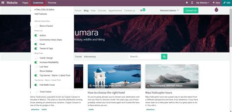How To Customize Blog Pages In Odoo Website