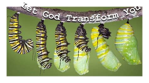 Let God Transform You Youtube