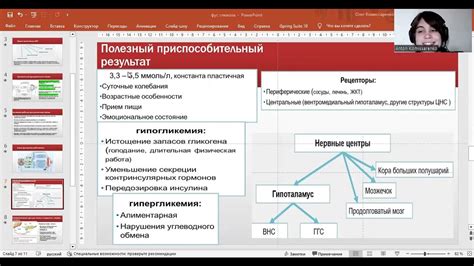 Функциональные системы, регуляция уровня глюкозы в крови - YouTube
