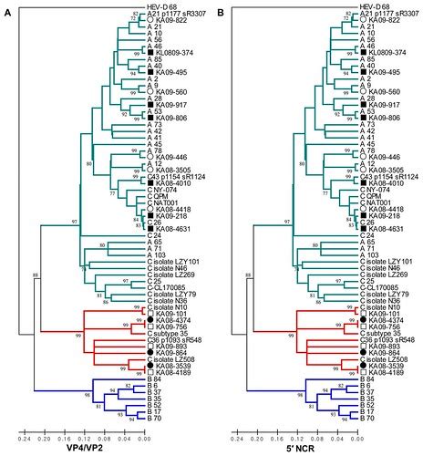 Figure 1 Phylogenetic Analysis Of Field HRVs Of ARINET And Flickr