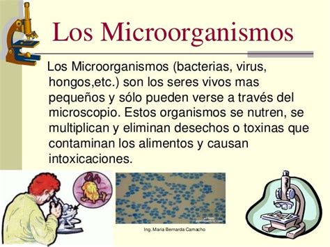 Los Microorganismos