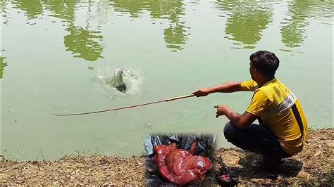 मछली पकड़ने का नया तरीका Ll Amazing Fishing Video In Villagefish