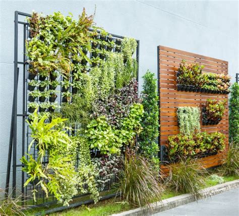 6 Hanging Garden Ideas That Will Blow Your Mind