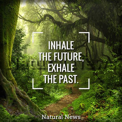 Inhale The Future Exhale The Past