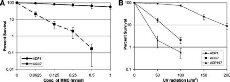 Sensitivity Of Agc To The Dna Damaging Agents Mmc A And Uv B