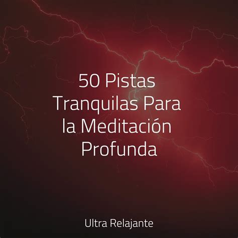 Susurro De Hojas De Primavera Música para Meditar y Relajarse