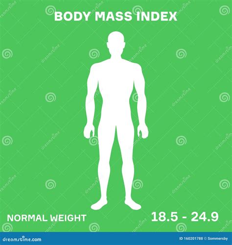 Characterizing Male Silhouette For Normal Weight Stage Of Body Mass