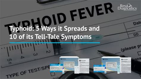 Typhoid 5 Ways It Spreads And 10 Of Its Tell Tale Symptoms Reszonics