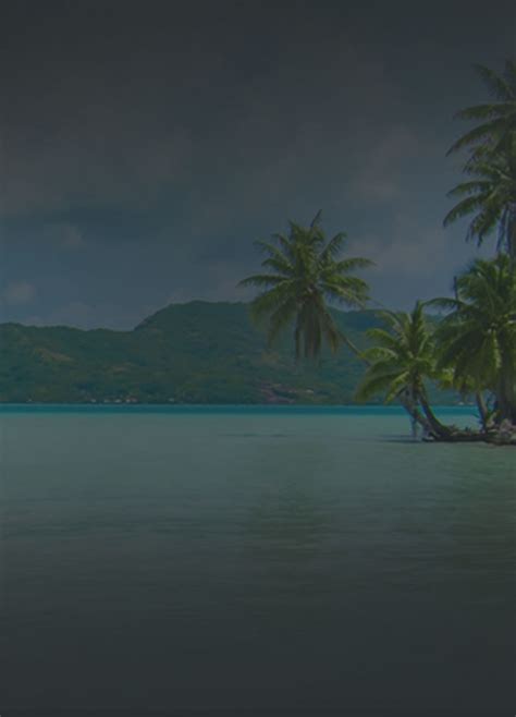 Is Kayak Travel Insurance A Good Value