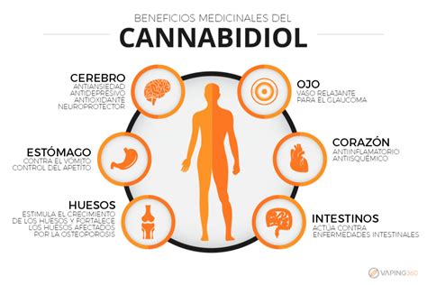 Beneficios Del Cbd Xaviera