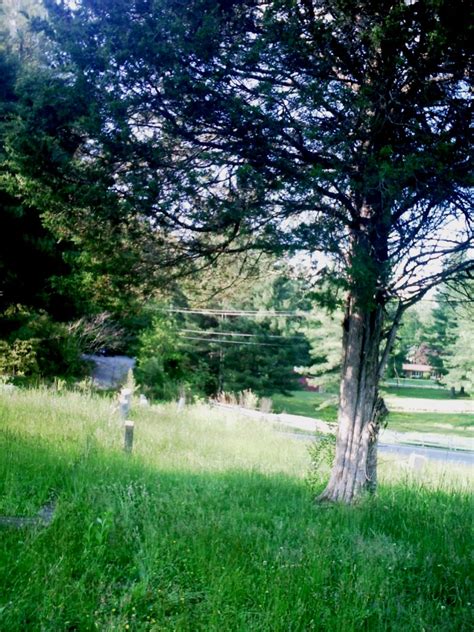 Mill Pond Cemetery In Rugby North Carolina Cemeteryname Find A