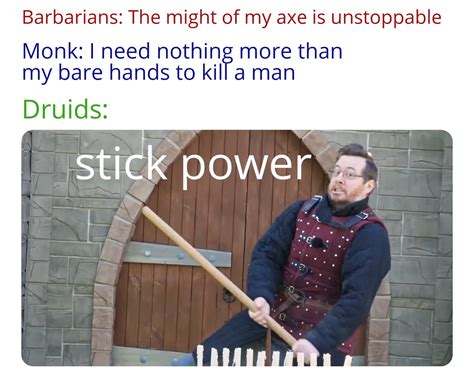 Stick Is Very Good A Druid Probably Rdndmemes