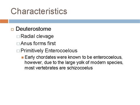 PHYLUM CHORDATES Characteristics similar to other phylum discussed