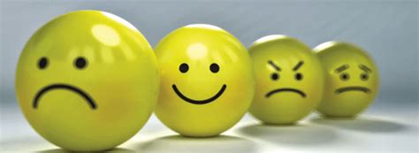 Cerveau PUISSANT organe sexuel GAY GLOBE MÉDIA LE POINT