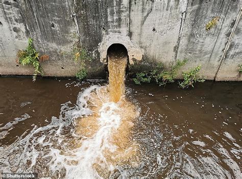 More Than 400000 Spills Of Sewage Leaked Into Englands Rivers And