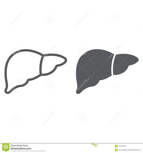 Liver Line And Glyph Icon Anatomy And Biology Stock Vector