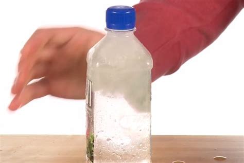 This Experiment Will Show You How To Freeze Water Instantly With One ...