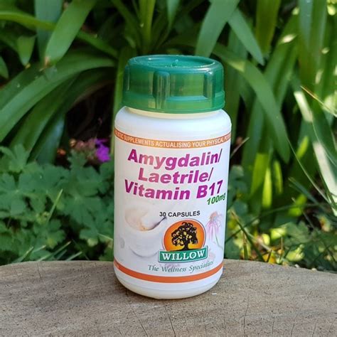 Amygdalin Laetrile Vitamin B17 Willow Organic Choice