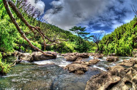 Hawaii River Photograph By Mark Ayzenberg Fine Art America