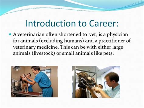 Veterinarian Powerpoint