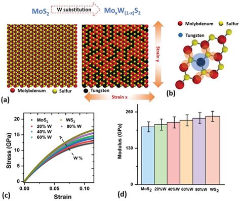 A Schematic Representation Of Mos2 Lattice And Moxw 1‐x S2 Alloy B Download Scientific