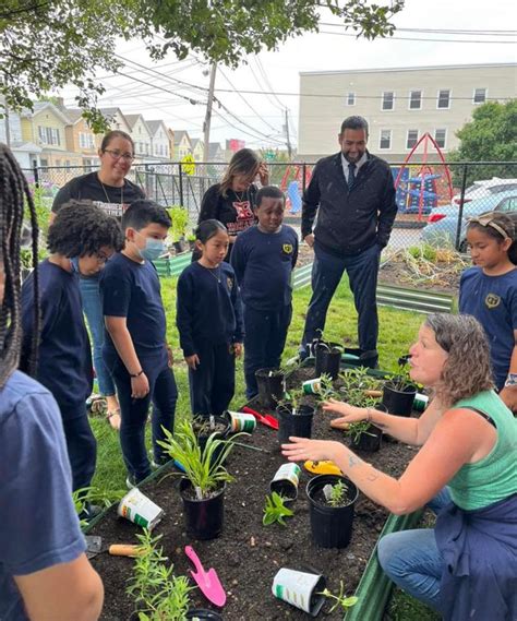 Terrence C Reilly School No 7 Union County Plant A Seed Blog