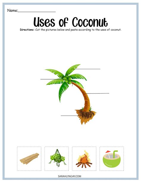 Coconut Tree Coconut Tree Life Cycle Instant Download Stem Workbook