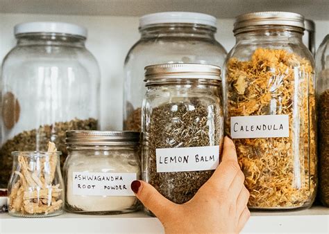 Making Herbal Preparations 101 Mini Course Herbal Academy