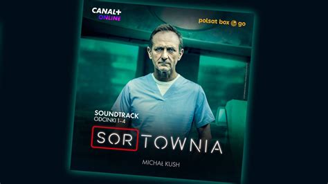 Sortownia Soundtrack Serialu W Serwisach Streamingowych Polsat Pl