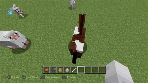 Apprivoiser Un Cheval Et Un Loup Sur Minecraft Youtube