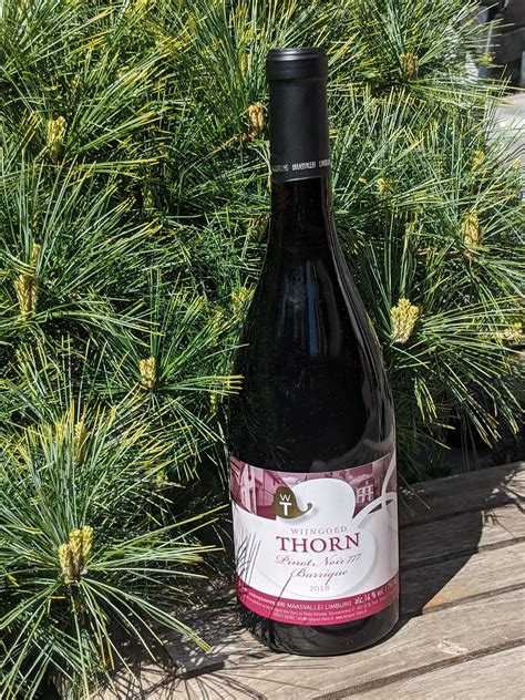 Thorn Pinot Noir 777 2018 GoDutch Wine