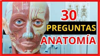 TEST Cuánto Sabes de ANATOMÍA Preguntas de nivel Doovi